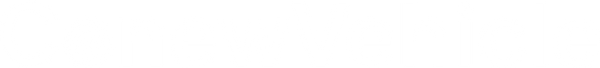 ConewVehicle